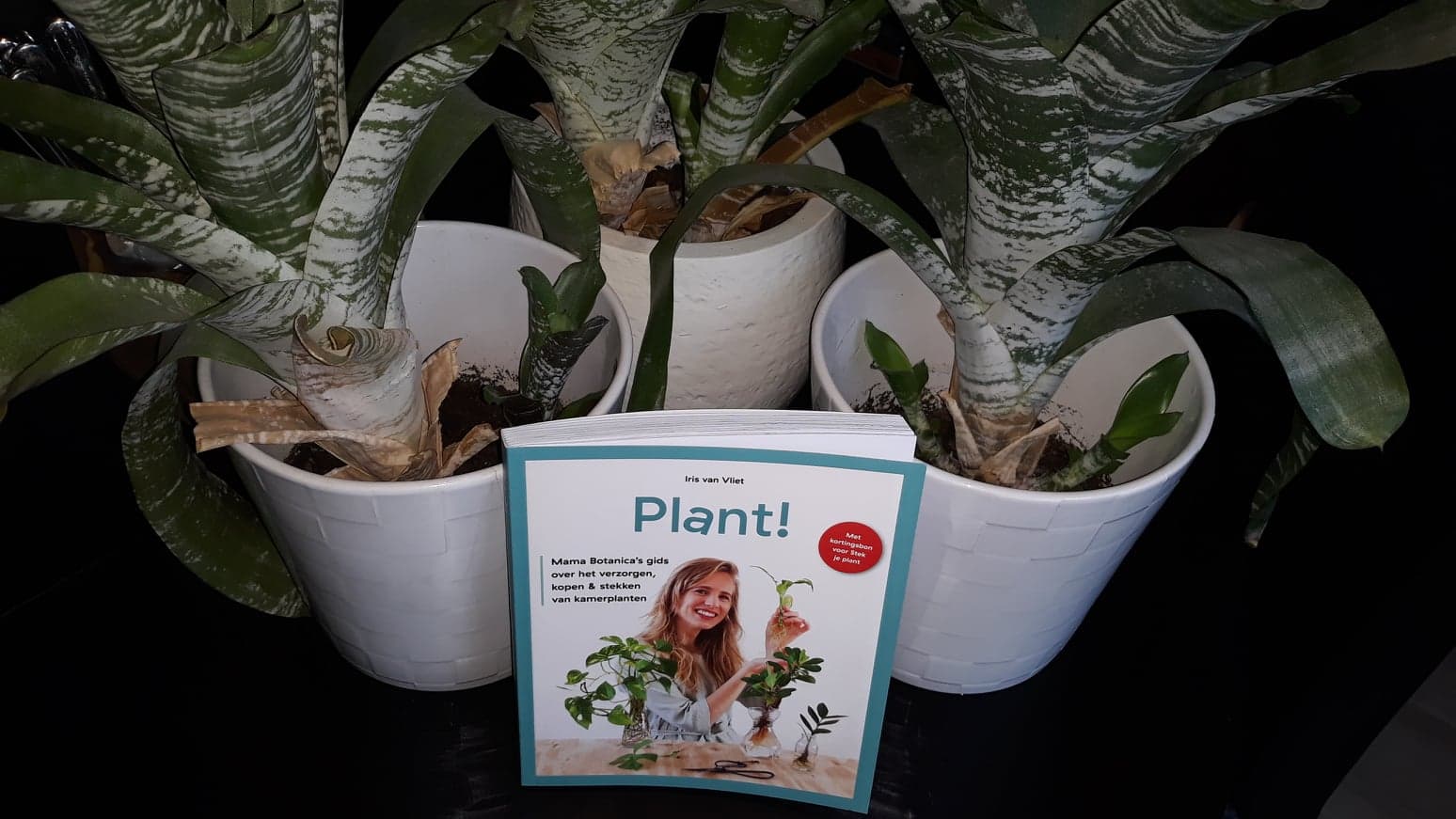 Plant! boek winnen.