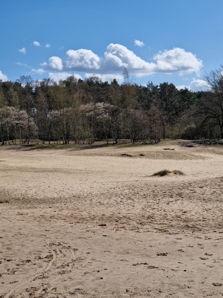 Mindfulness wandelen met gratis oefeningen.