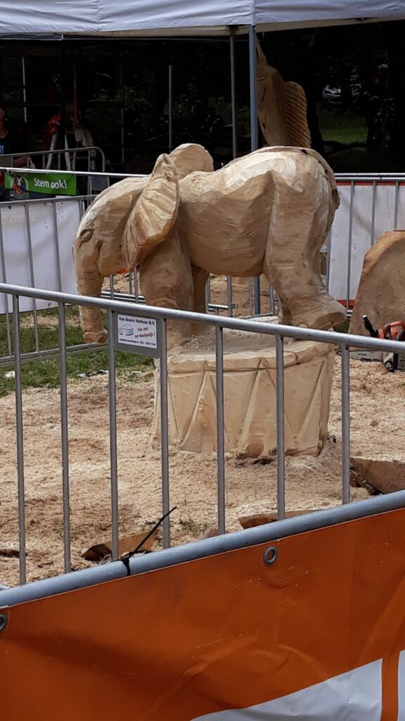 Houthakkersfeest 2019 carving olifant.