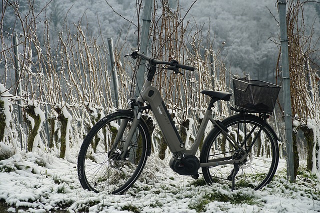 Fietsonderhoud en fietsaccu in de winter.