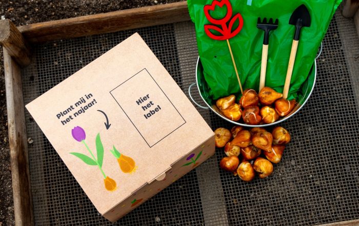 Maak kans op een DIY tulpenbollenpakket.