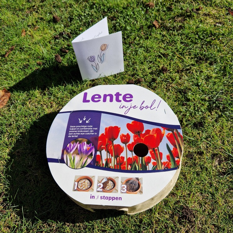 Easyplant bollentray winnen.