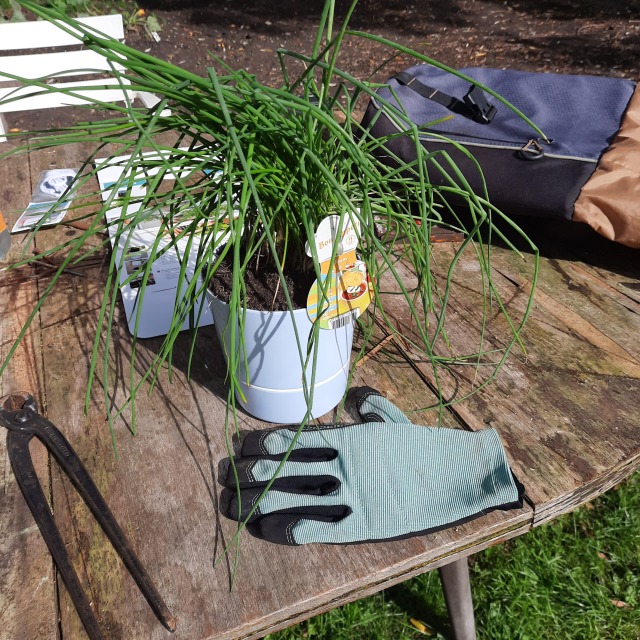 Mepal kruidenpotten met lont.