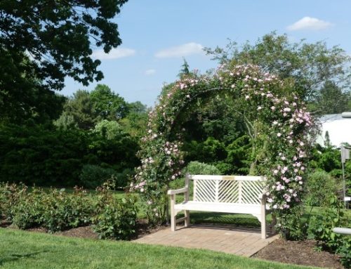 De ultieme zomersetting: tuinmeubelen voor tuinfeesten en barbecues.